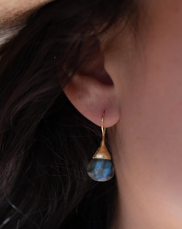 Women’s spiral earrings-Labradorite Tear Drop Earrings ~ 18k Gold Plated ~ ME187